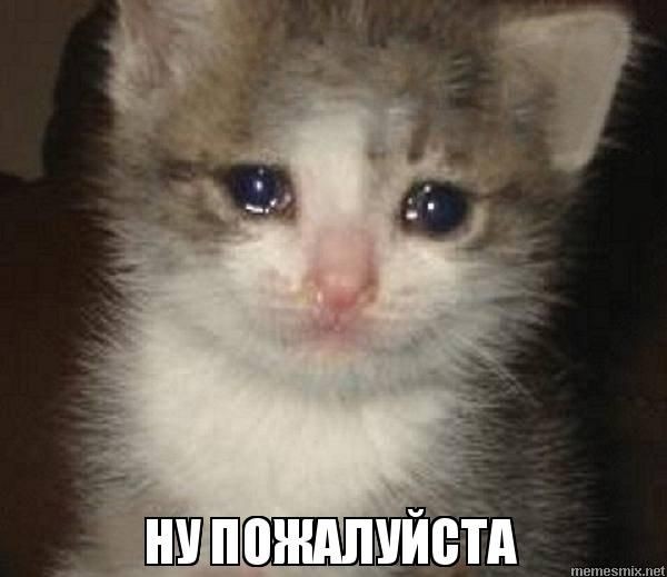 Создать мем: грустный котик мем, котик плачет мем, плачущий кот