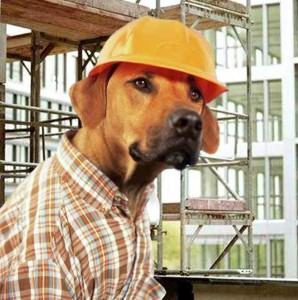 Создать мем: собака в кепке, собака на стройке, собаки строители прикол