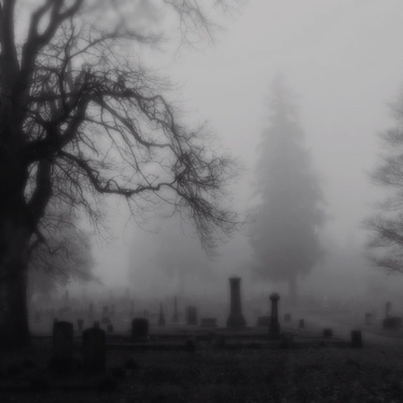 Create meme: cemetery in the fog, the cemetery is scary, cemetery aesthetics