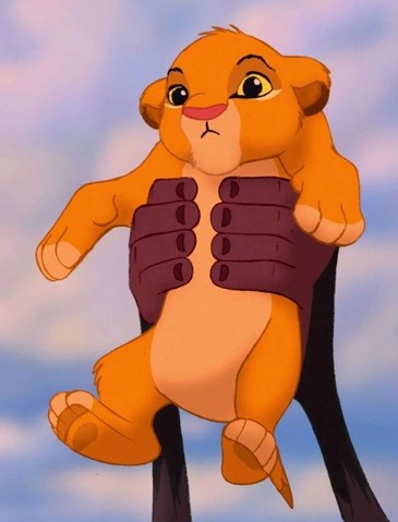 Create meme: Simba the lion king, Simba , Simba from the lion king