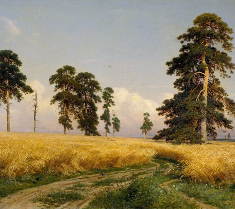 Create meme: picture rye, ivan shishkin rye, painting rye shishkin