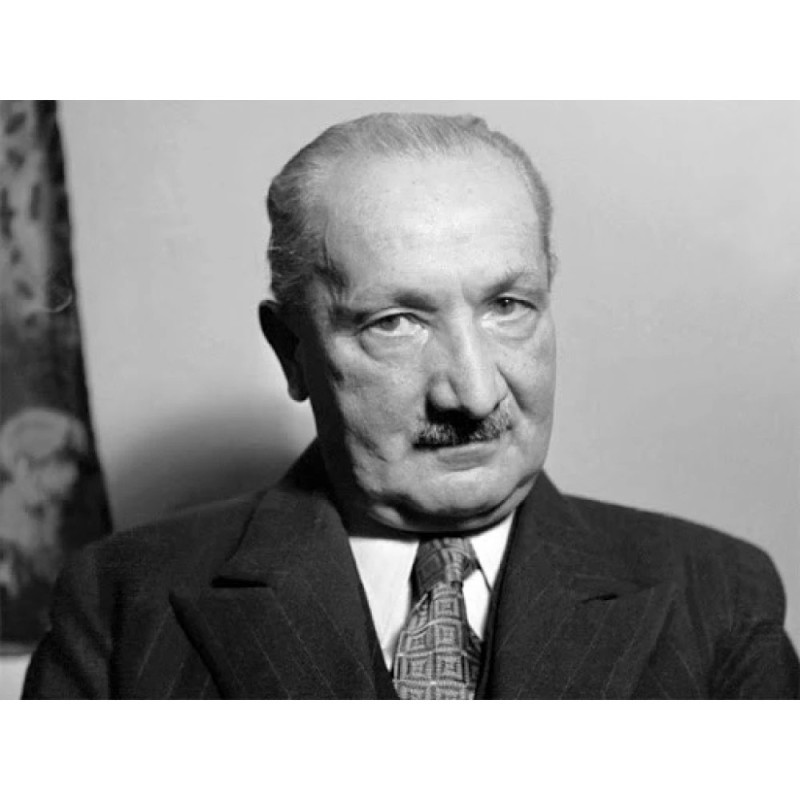 Create meme: Martin Heidegger , heidegger philosophy, heidegger 's philosophy