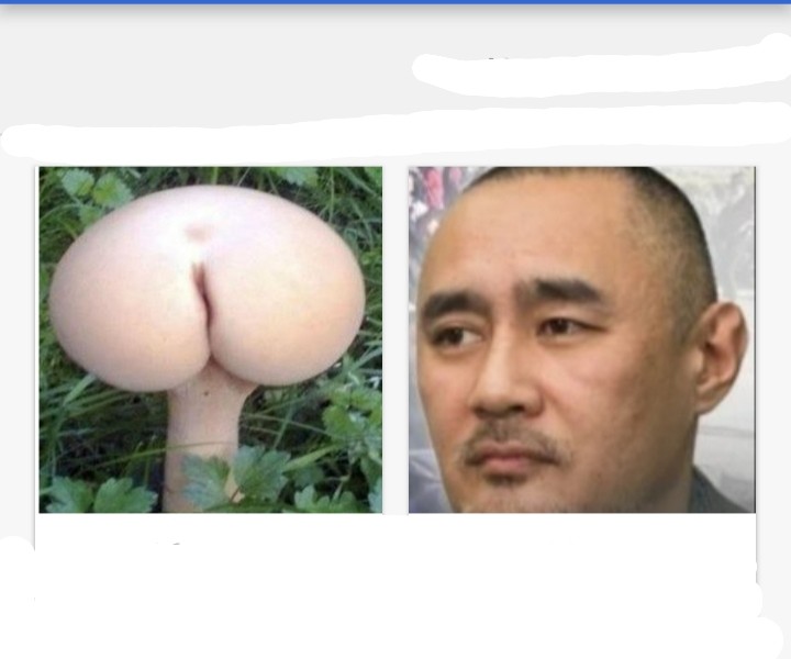 Create meme: people , Asian , mushrooms