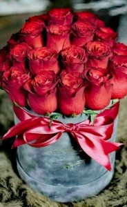 Create meme: beautiful roses, a bouquet of roses, flowers beautiful roses