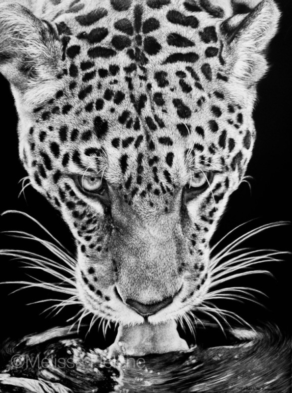 Create meme: leopard black and white, white jaguar, jaguar black and white