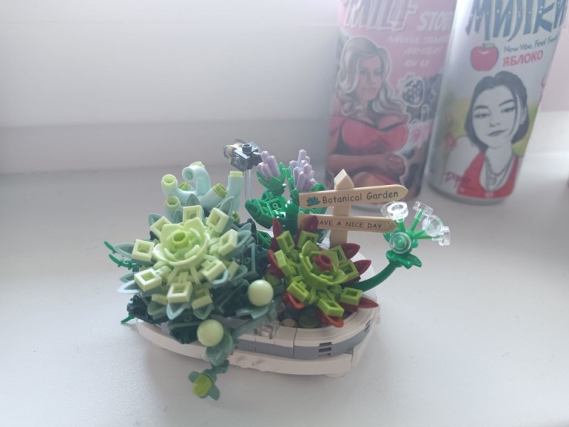 Create meme: succulent flower, flowers , floral