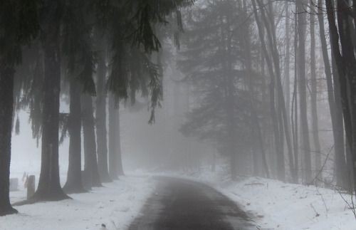 Create meme: thick fog , snowy road in the forest, fog in the forest