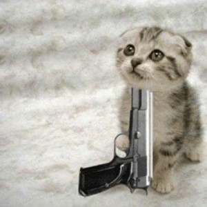 Create meme: cat with thompson gun, kedi, cat