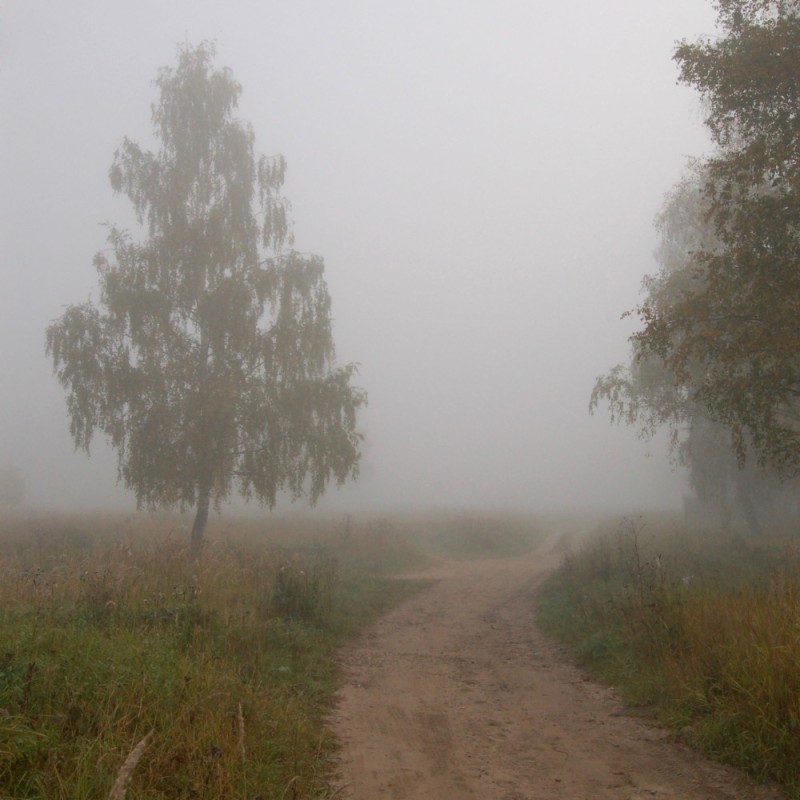 Create meme: foggy morning, autumn fog in the village, morning fog 