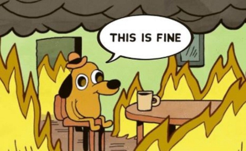 Create meme: meme dog in a burning house, meme dog on fire, this is fine 