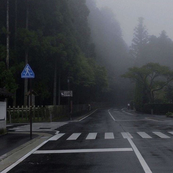 Create meme: gloomy paradise, the landscape is gloomy, the road is dark