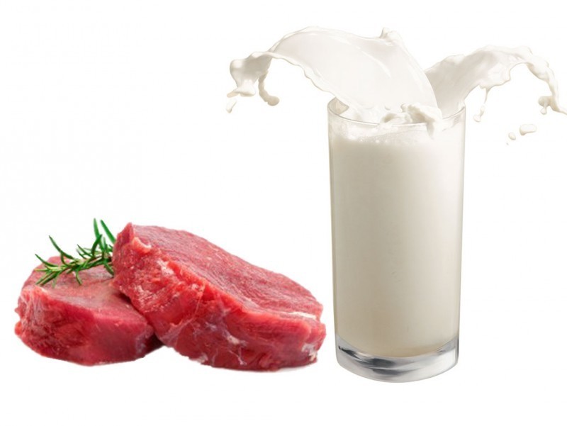 Create meme: milk , milk and meat , milk on a white background