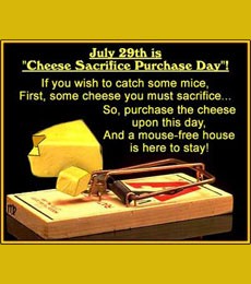 Create meme: mousetrap, cheese , cheddar cheese