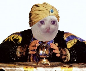 Create meme: cat, the fortune teller with the ball