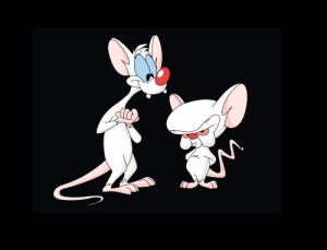 Create meme: animaniacs, pinky and brain, pinky and the brain