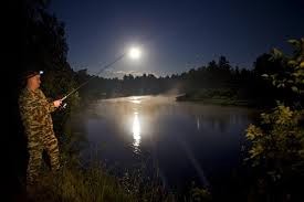 Create meme: night fishing, evening fishing, night fishing for carp in summer