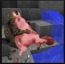 Создать мем: коты мем фотошоп майнкрафт, quake 3 на андроид, кот