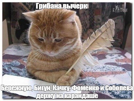 Create meme: cat , the cat with the letter, a cat with a feather