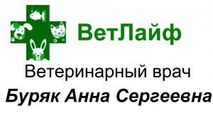 Создать мем: ветеринарное, ветеринарная клиника catvetdog верхние поля, четыре лапы ветеринарная клиника