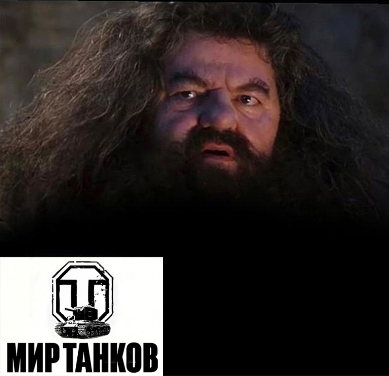 Create meme: hagrid and Harry, Hagrid you're a wizard Harry, Hagrid from Harry