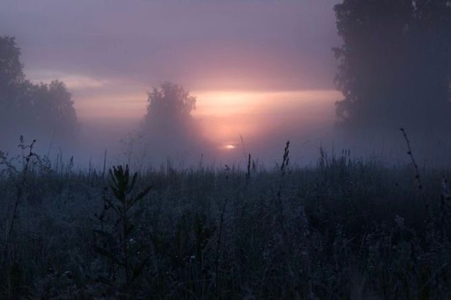 Create meme: misty dawn, foggy landscapes, dawn mist