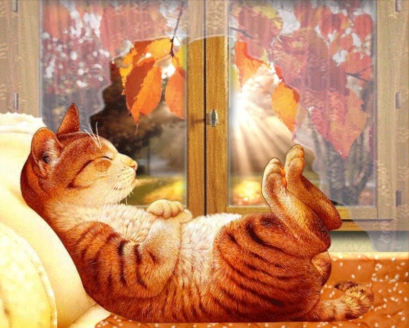 Create meme: Good morning with the red cats, Good autumn morning with a red cat, Makoto Muramatsu