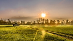 Create meme: field sun, nature, nature sunrise