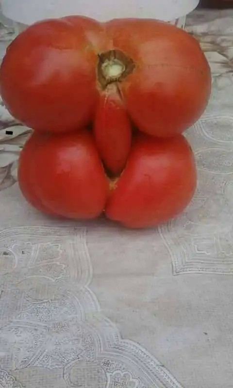 Create meme: vegetables funny, tomato , Pomidorka 