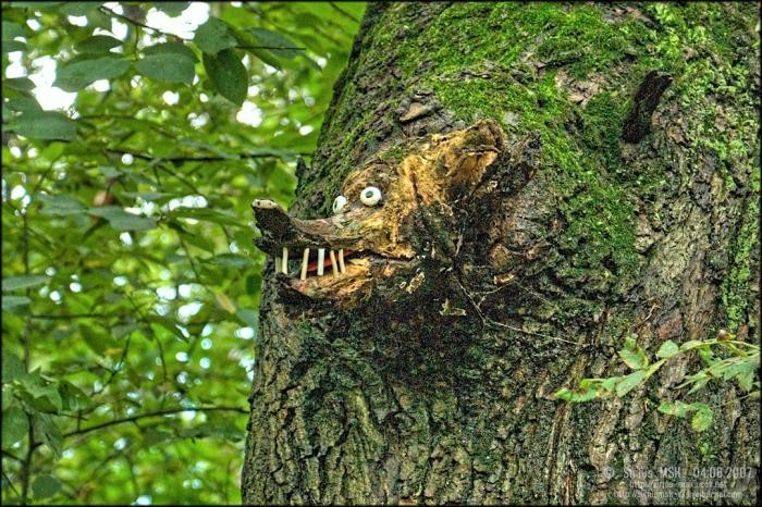 Create meme: animals , on a tree, the monster in the forest
