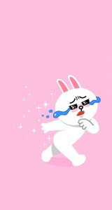 Create meme: line friends, cony