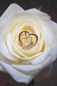 Создать мем: белые розы для любимой, кулон роза, белые розы с кольцом