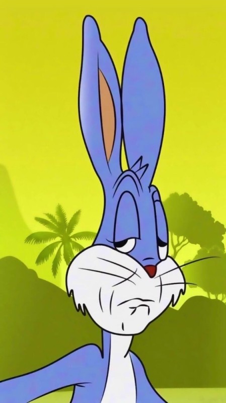 Create meme: bugs Bunny meme, surprised bugs bunny, bunny bugs