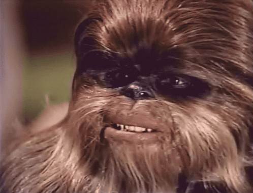 Create meme: Chewbacca from star, star wars chewbacca, chewbacca's star wars