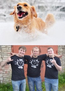 Create meme: pet dog, a dog's life, dog in winter