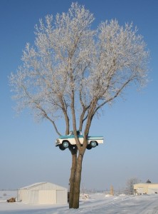 Создать мем: дерево на берегу волги, автомобиль, the tree