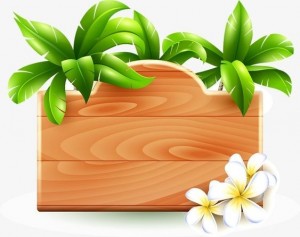 Создать мем: деревянная табличка с пальмами вектор, тропический фон, пальма пляж вывеска