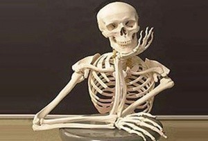 Create meme: meme skeleton, skeleton in waiting, the human body skeleton