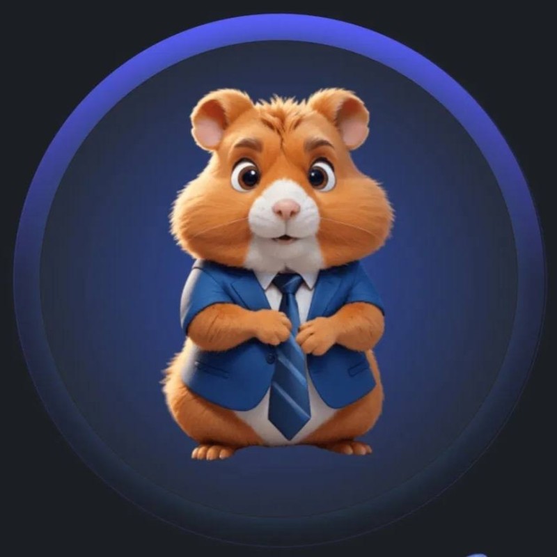 Create meme: hamster hamster, hamster cryptocurrency, angry hamster