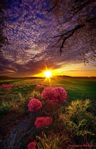 Create meme: dawn, beautiful dawn, nature sunset