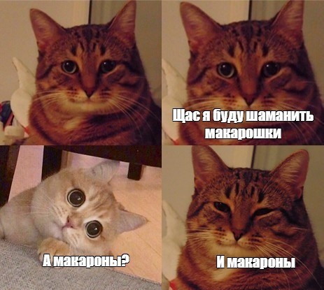 Создать мем: котики мем, мем кошка, коты мемы