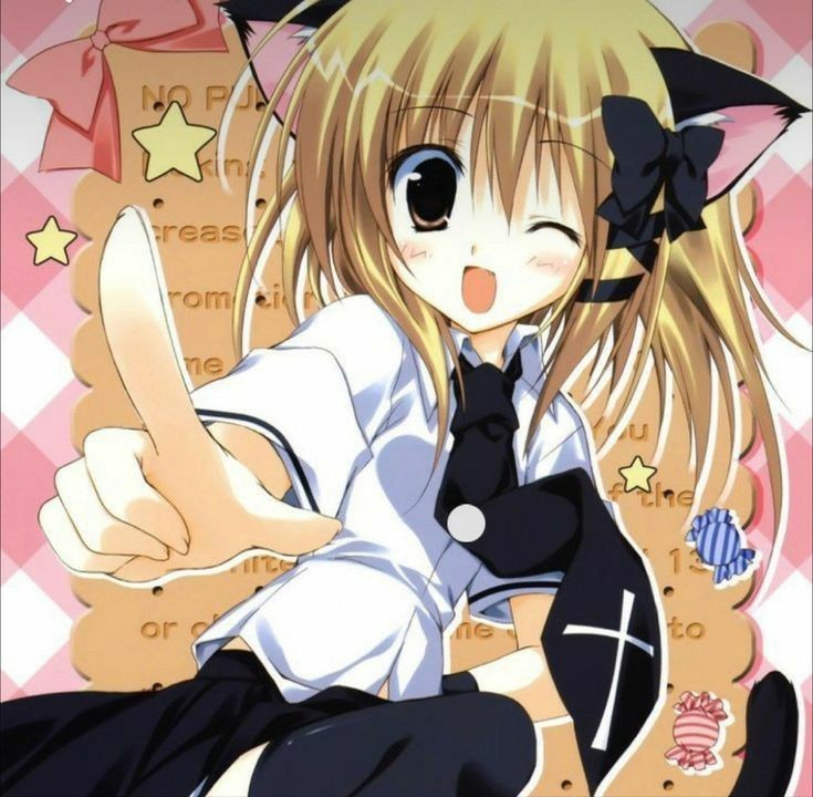 Create meme: neko anime, neko , anime posters of kitty girls