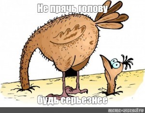 Create meme: ostrich, the ostrich hiding its head in the sand pictures, funny ostrich picture