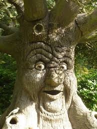 Create meme: the talking tree Efteling, fabulous trees, the tree is fabulous with your eyes