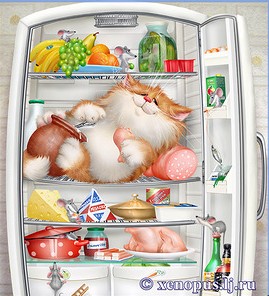 Create meme: the cat in the fridge, refrigerator