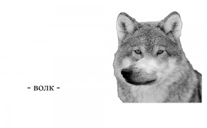 Create meme: wolf meme, wolf wolf wolf meme, wolf memes