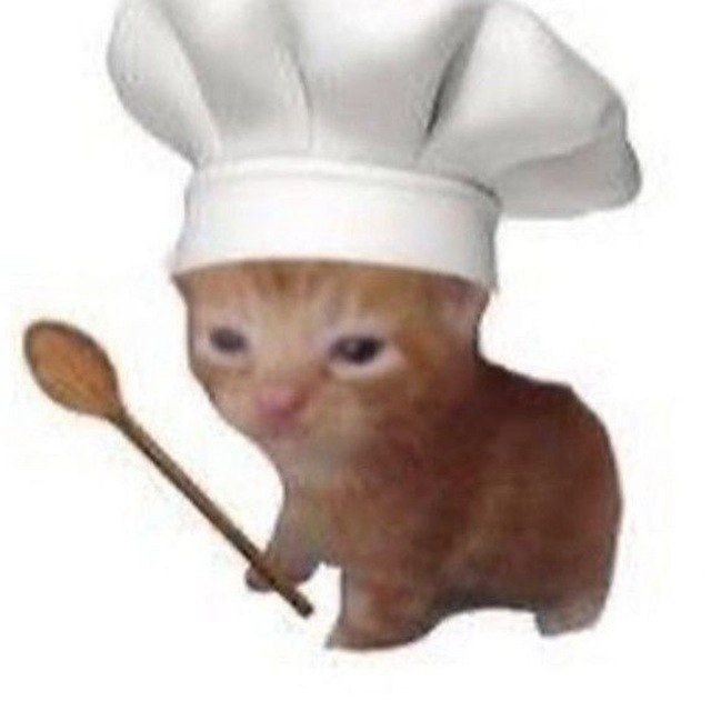 Create meme: the cat in the chef's hat, cat cook, The kitten is a cook