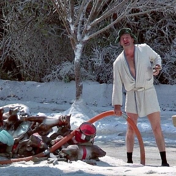 Create meme: cousin eddie johnson, Quade Randy, national lampoon s christmas vacation