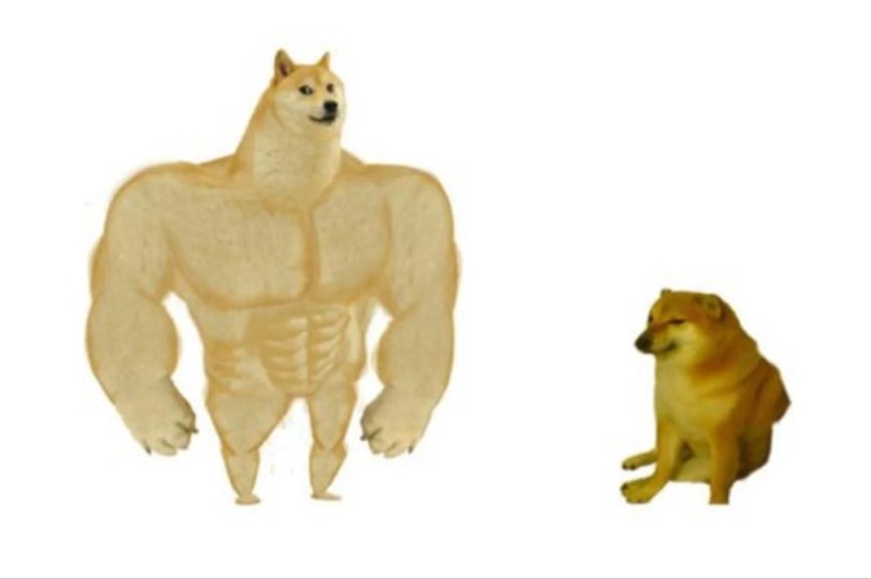 Create meme: dog Jock, meme dogs jock, doge is a jock