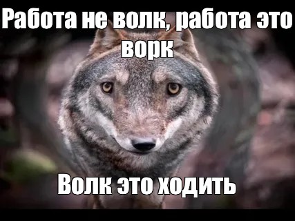 Работа не волк мем. Волк брат Мем. Брат брату волк. Волк ауф. Волк ауф Мем.