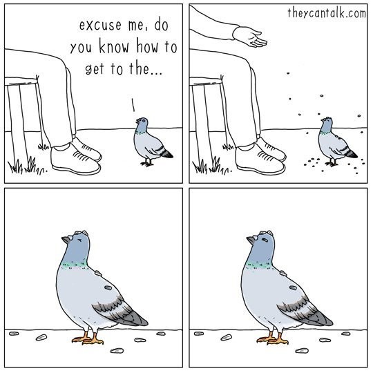 Создать мем: голубь птица, голубь комикс, мем с голубем